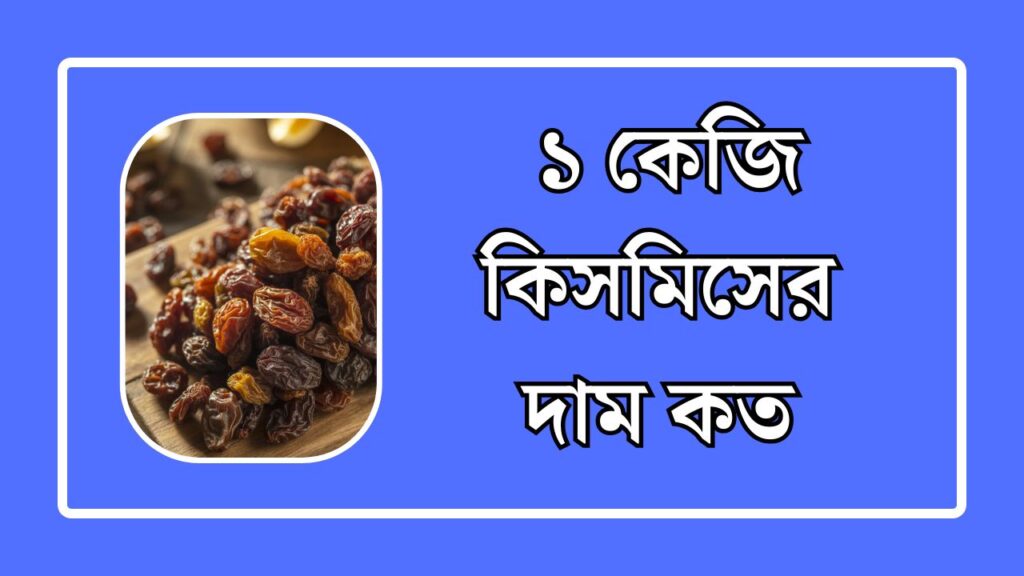 ১ কেজি কিসমিসের দাম কত