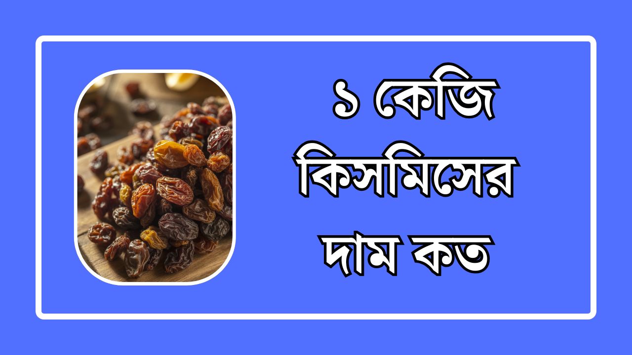 ১ কেজি কিসমিসের দাম কত
