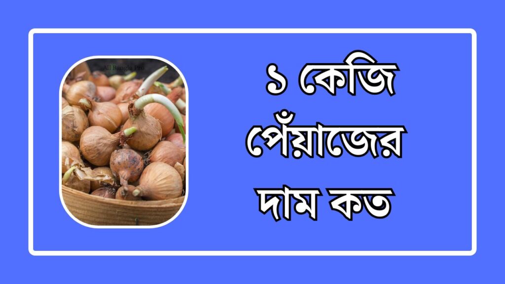 ১ কেজি পেঁয়াজের দাম কত