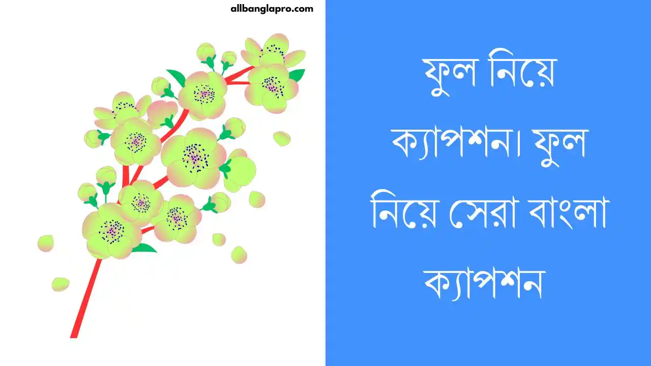 ফুল নিয়ে ক্যাপশন। ফুল নিয়ে সেরা বাংলা ক্যাপশন
